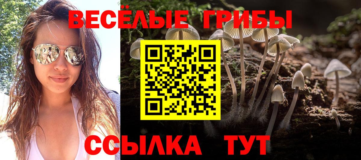 Вичуга  Псилоцибиновые грибы Magic Shrooms  Вход с VPN 